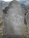 image of grave number 295798